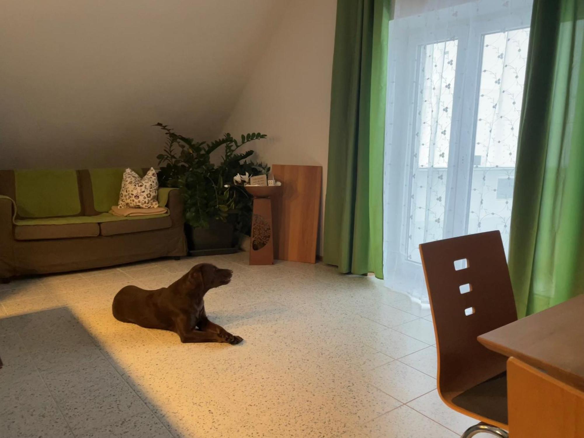 Vogelhubergut - Familie Scherleithner Vorchdorf Exterior foto
